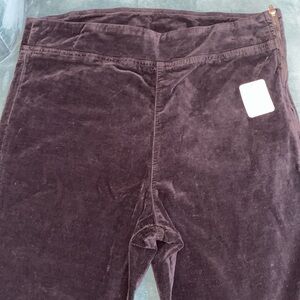 NWT Free People In My Feelings cropped velvet pants Blk size XL